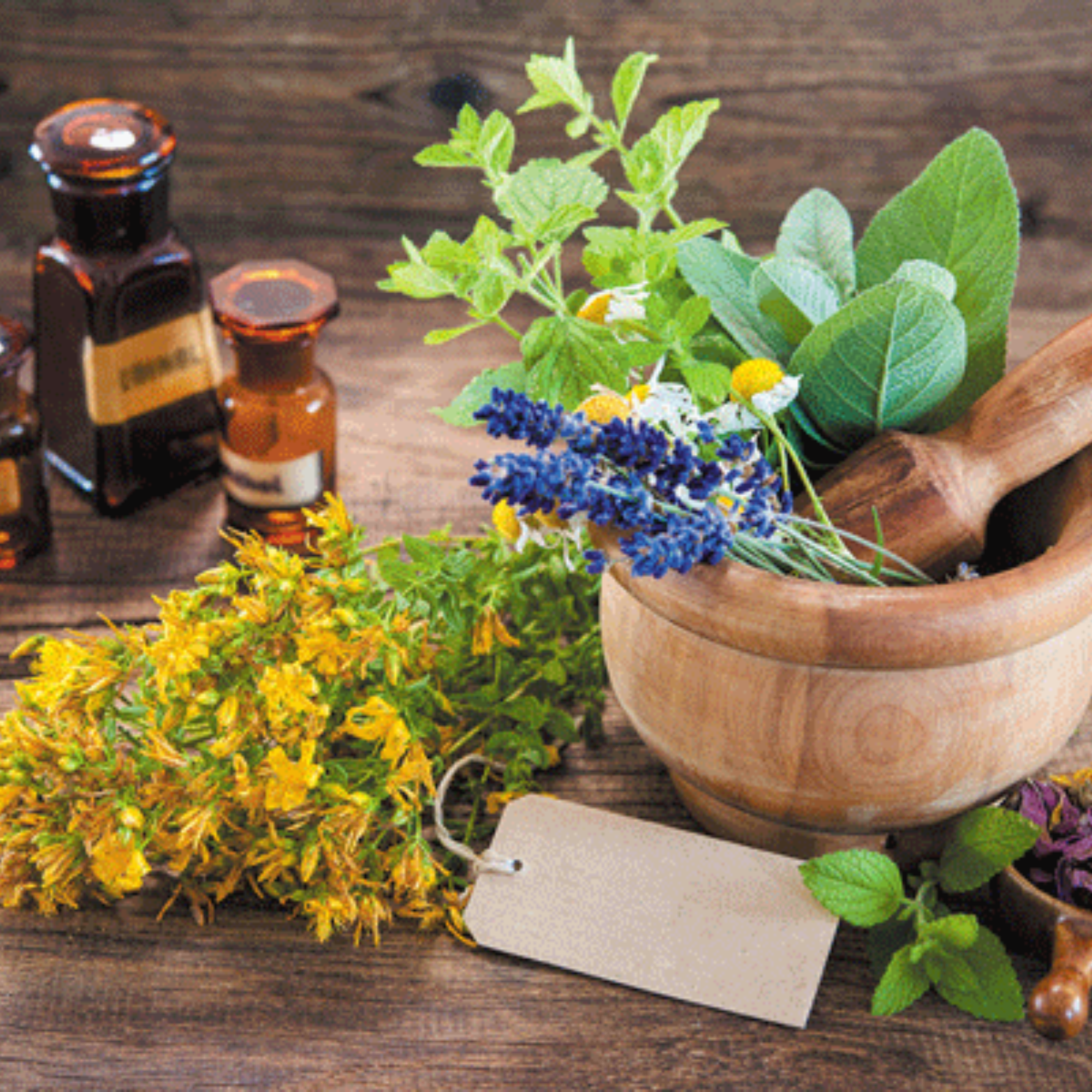 Herbal Wellness Experts